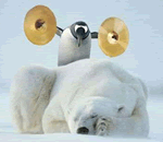 Pinguino dispettoso
